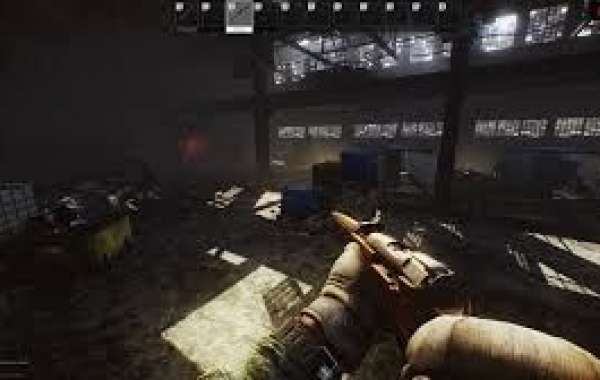 In the Escape From Tarkov Roubles are the main escape from Tarkov inventory system