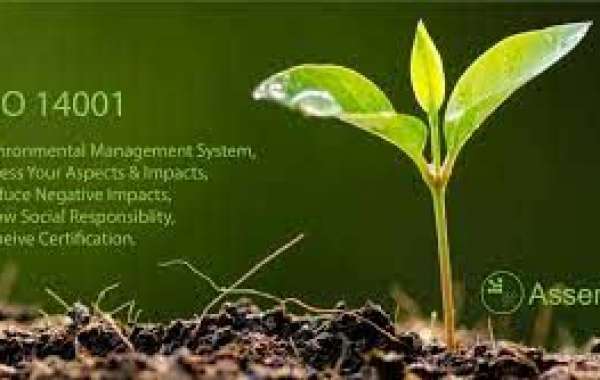 Why should you certify your ISO 14001 Environmental Management System for the organization in Kuwait?