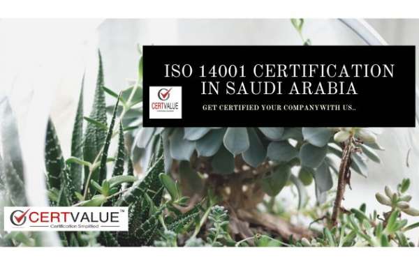 ISO 14001: Steps in the certification process in Saudi Arabia