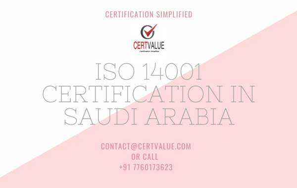 Do you need a consultant for the implementation of ISO 14001?