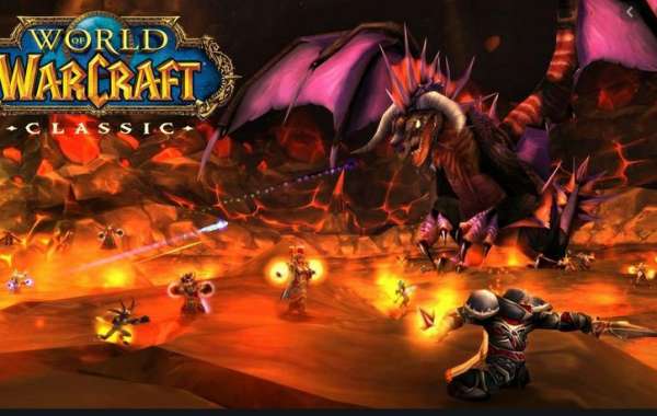 MSF benefited from the World of Warcraft charity pet project