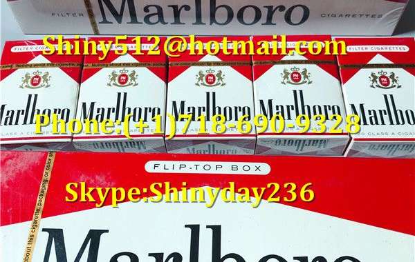 Wholesale Cigarettes Store with right