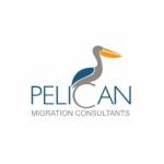 Pelican Migration Profile Picture