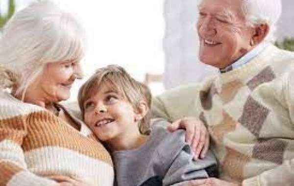 Navigating Family Law: The Role of a Grandparents Visitation Lawyer in Albuquerque