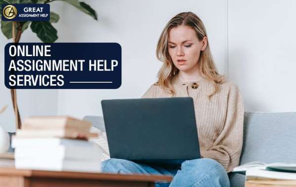 Why Should I Go with Cheap Assignment Help in the USA?