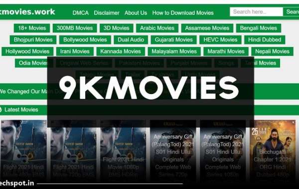 How Can I Download Movies and TV Shows from 9kMovies?