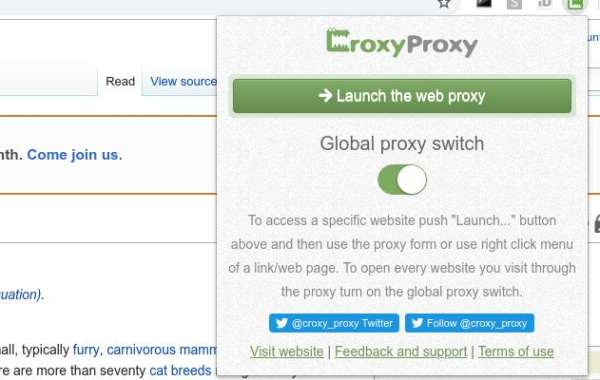 How to Get CroxyProxy YouTube Access?