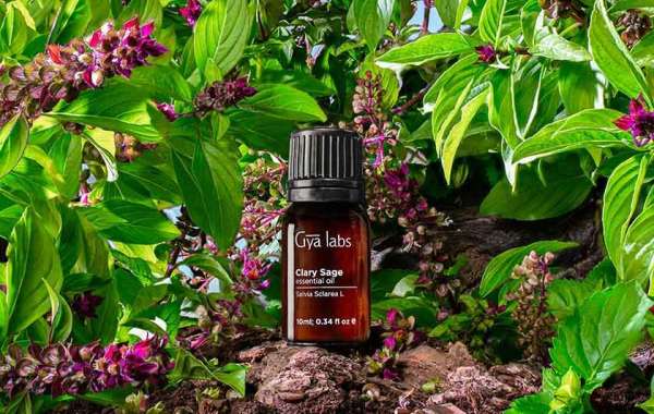 Discover Balance, Calm and Youthful Skin with GyaLabs Clary Sage Essential Oil
