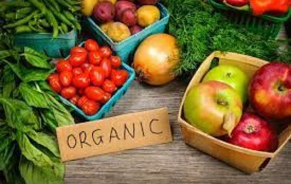 Organic Food Market Players: Insights into the Competitive Landscape