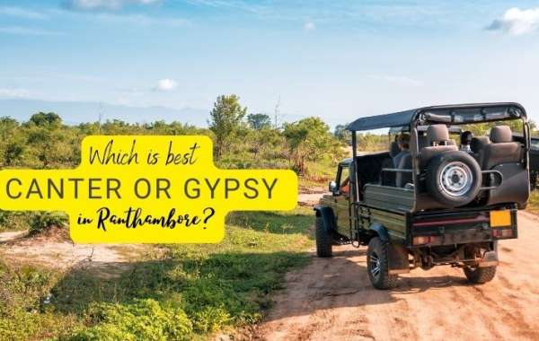 Which is best Canter or Gypsy in Ranthambore?