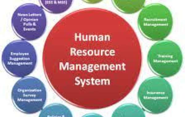 Human Resources Management (HRM) Software Market to Witness Robust Growth by 2030| Top Players