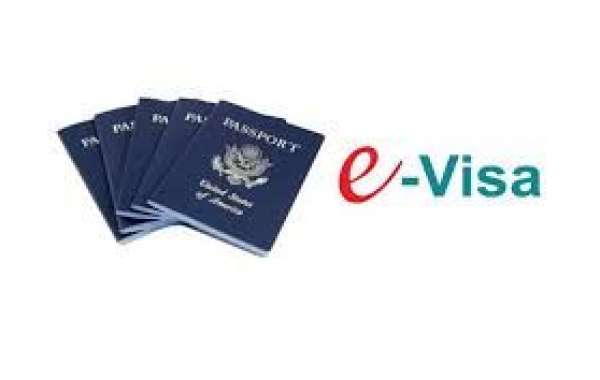 E-passport and E-visa Market Growth Trends by ****, Regions, Type and Application Forecast to 2032