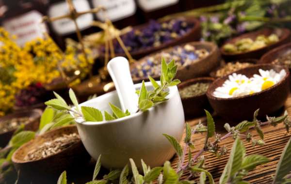 Guide Pratique : Comment Rejoindre Herbalife et Débuter Votre Aventure Nutritionnelle