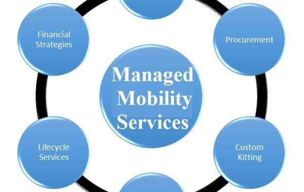 Managed Mobility Services Market Growing Popularity and Emerging Trends to 2030