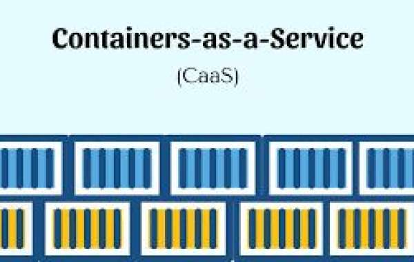 Containers as a Service Market Professional Survey Report 2030