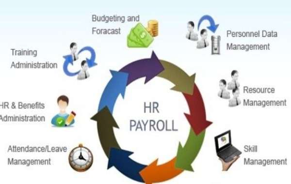 Embracing Change: Future Perspectives on HR Payroll Software Market 2022-2030