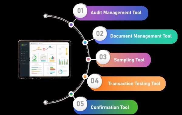 Audit Software Market Investment Opportunities, Industry Share & Trend Analysis Report to 2030