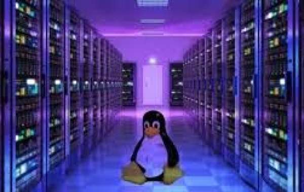 Server Operating System Market Estimated To Experience A Hike In Growth By 2032 MRFR