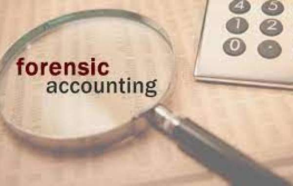 Forensic Accounting Market Size & Growth 2024-2032