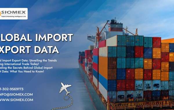 How do I see exports data from India?