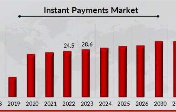 Instant Payments Market Size to Grow at a CAGR of 16.80% by 2032