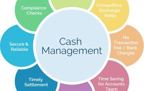 Cash Management System Market Demand and Growth Analysis with Forecast up to 2030