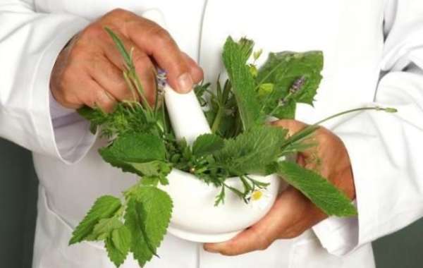 Unveiling the Potential of Homeopathic Medicine in Modern Healthcare
