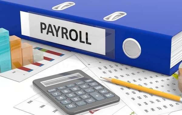 How to Audit Your Payroll Services Provider for Compliance?