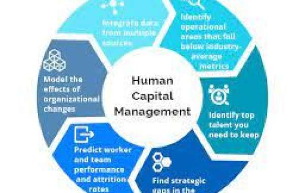 Human Capital Management (HCM) Software Market Investment Opportunities, Industry Share & Trend Analysis Report to 2