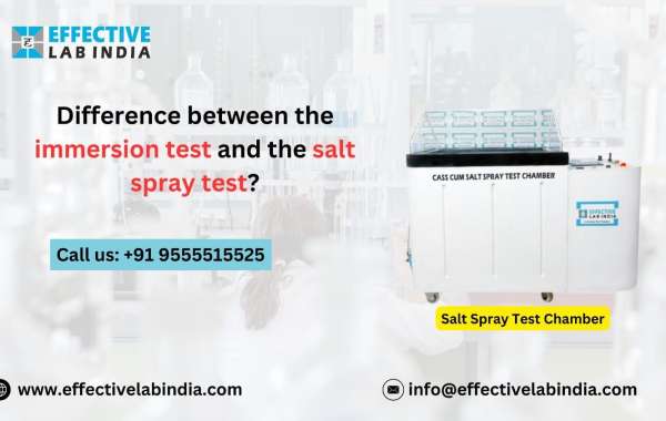 Difference Between The Immersion Test And The Salt Spray Test?