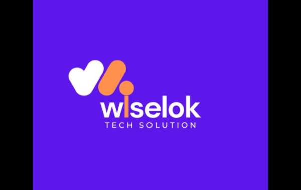 Web Design Company In Jaipur - Wiselok Tech Solution