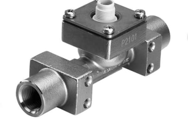 Troubleshooting Tips for Maintaining a Rugged Flow Meter