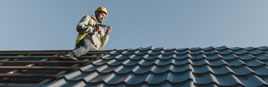 Alpha Roofing and Construction Cover Image