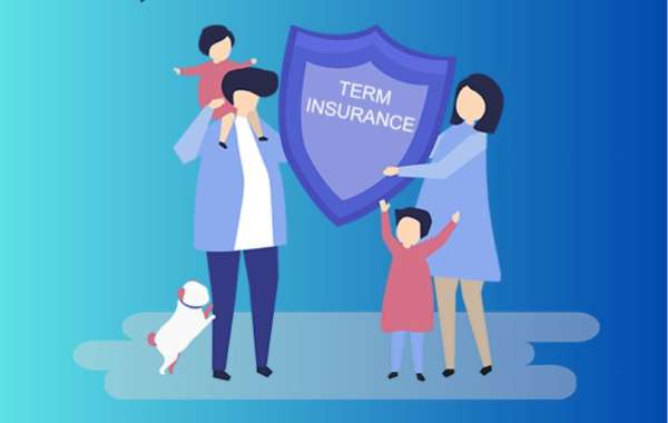 Safeguard Your Loved Ones: Buy Term Insurance Easily with Bimastreet