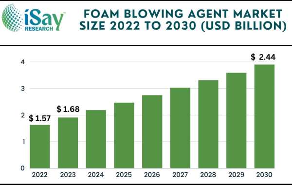 Global Foam Blowing Agent Market Size-Share Analysis and System Production 2024 | Addressing the Potential Impact of COV