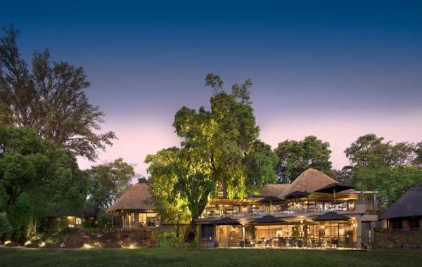 Luxurious Kruger National Park Lodges for the Ultimate Safari Experience