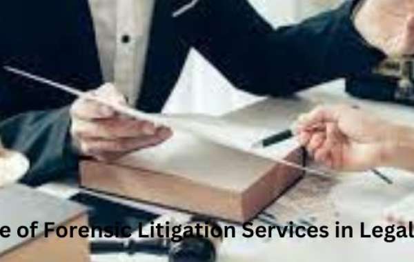 The Role of Forensic Litigation Services in Legal Battles