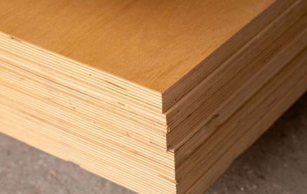 Phenolic Boards Market: Key Trends and Growth Factors
