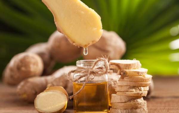 Ginger Oil Market Size, Share, Growth and Trends